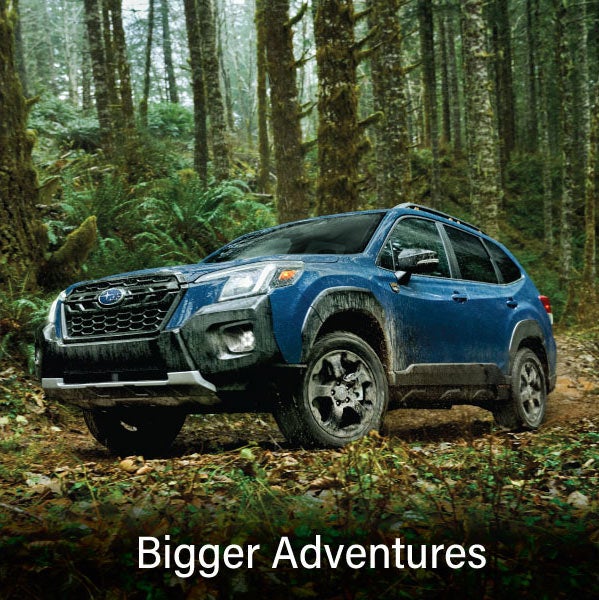 A blue Subaru outback wilderness with the words “Bigger Adventures“. | Dalton Subaru in National City CA